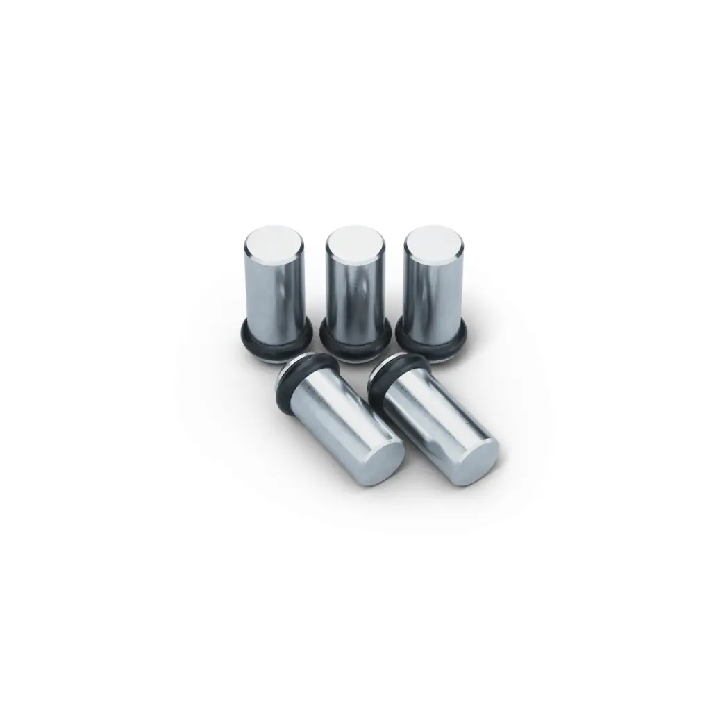 Lang Technik Spare Pins Ø 6 mm, for Vario•Tec 125 